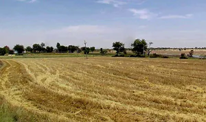 Lakhakhedi Naharpur, Madhya Pradesh 456443, India preview 2