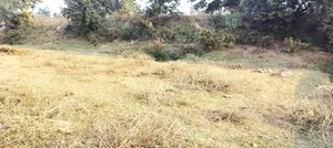 Raipur Raja, Uttar Pradesh 226203, India preview 2