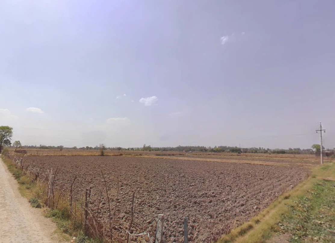 Hansi, Haryana 125033, India
