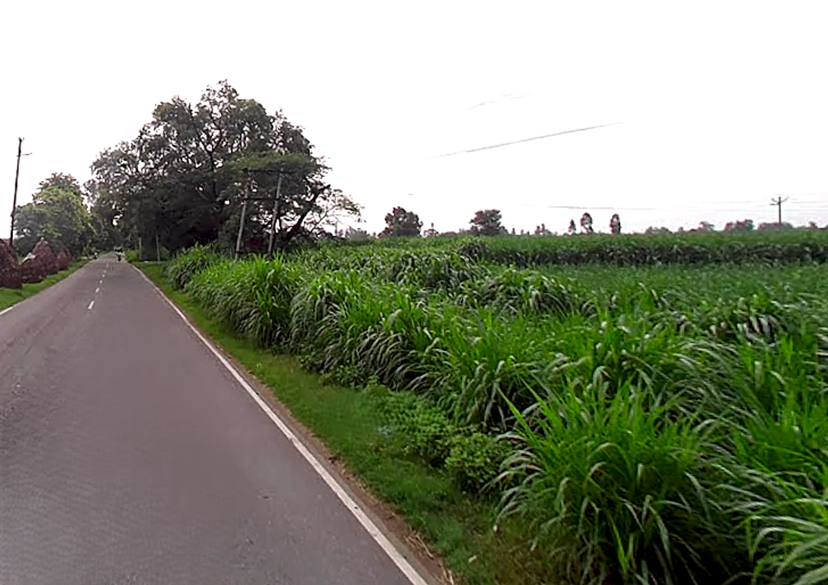 Jansath, Uttar Pradesh 251314, India