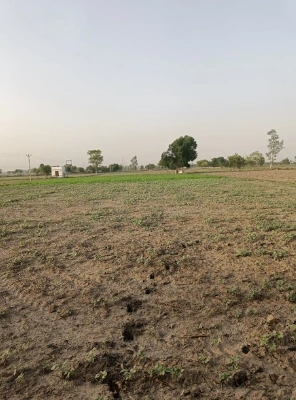 Gabhana, Uttar Pradesh 202136, India