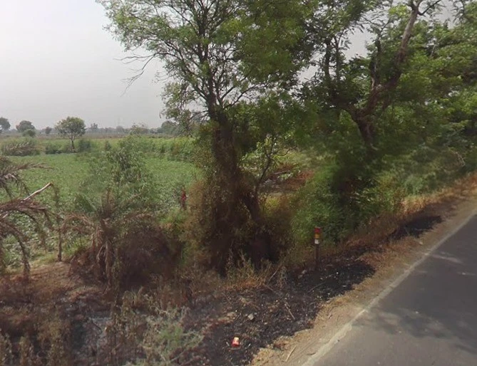 Sikandrabad, Uttar Pradesh 203205, India