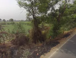 Sikandrabad, Uttar Pradesh 203205, India preview 3