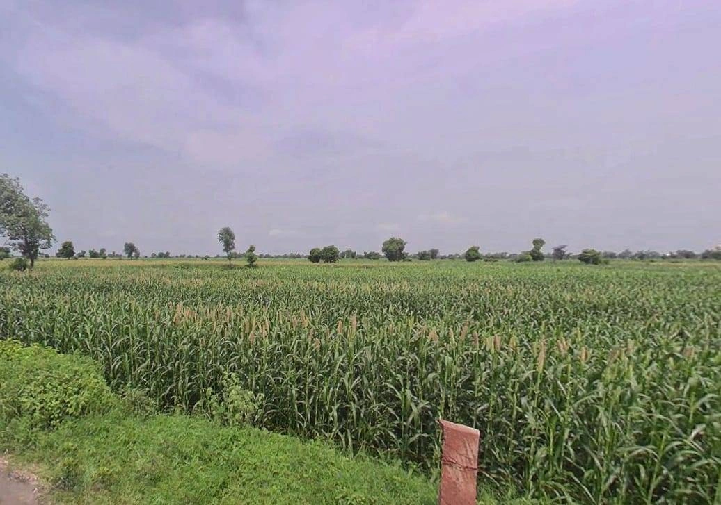 Shyampura, Rajasthan 311606, India