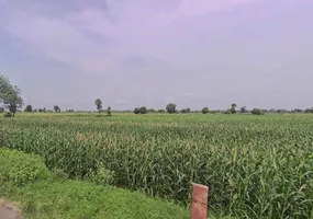 Shyampura, Rajasthan 311606, India preview 3