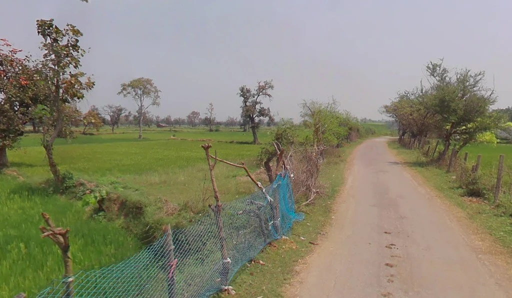 Sonpairi-3, Chhattisgarh 493441, India