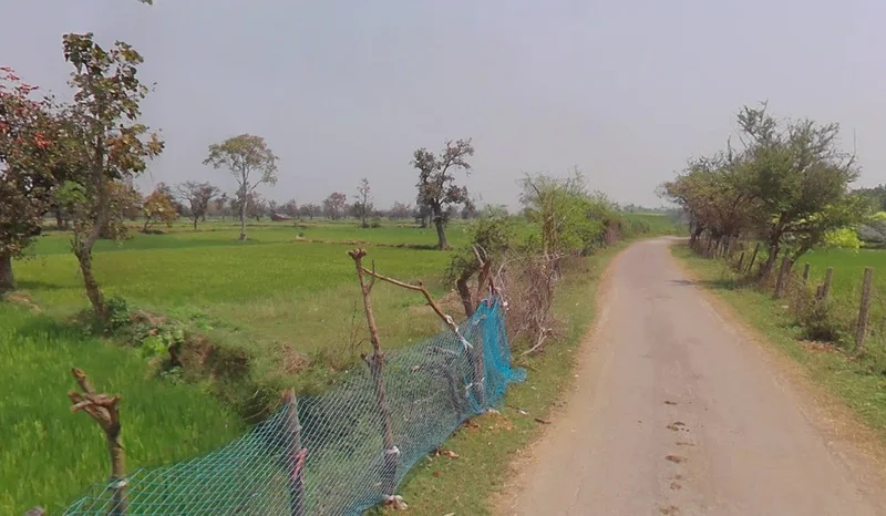 Sonpairi-3, Chhattisgarh 493441, India preview 3