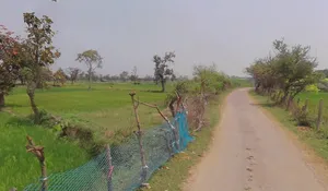 Sonpairi-3, Chhattisgarh 493441, India preview 3