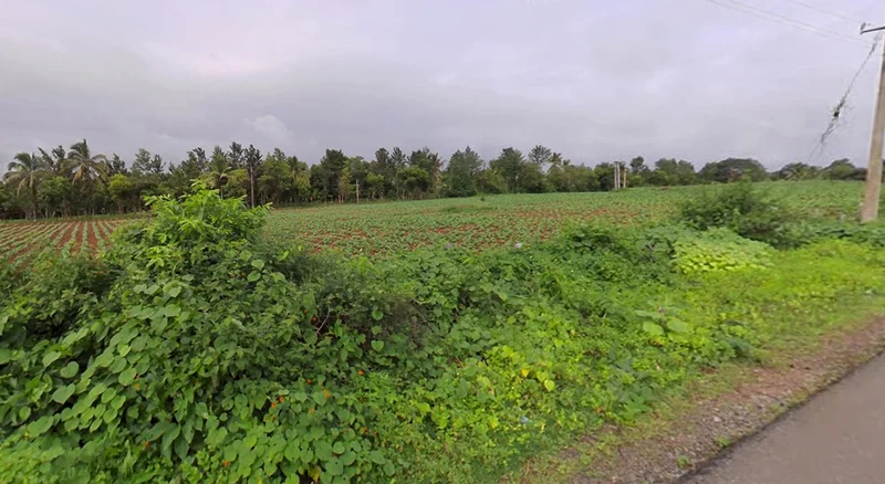 Heggadadevankote, Karnataka 571114, India preview 3