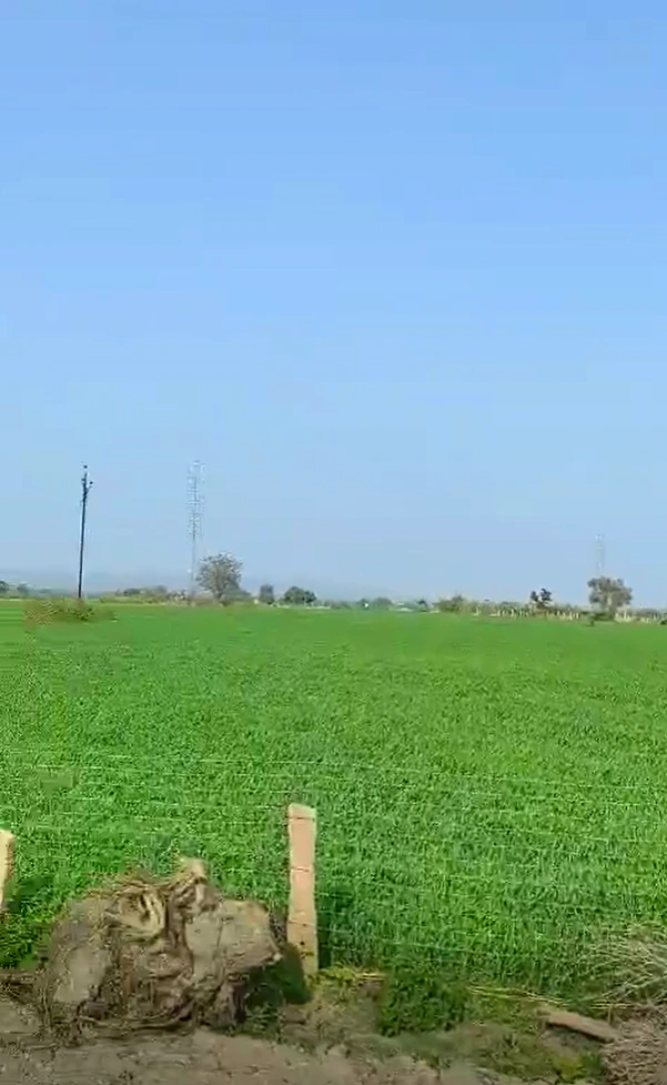 HQRP+M6 Itarsi, Narmadapuram, Madhya Pradesh, India - Photo 3