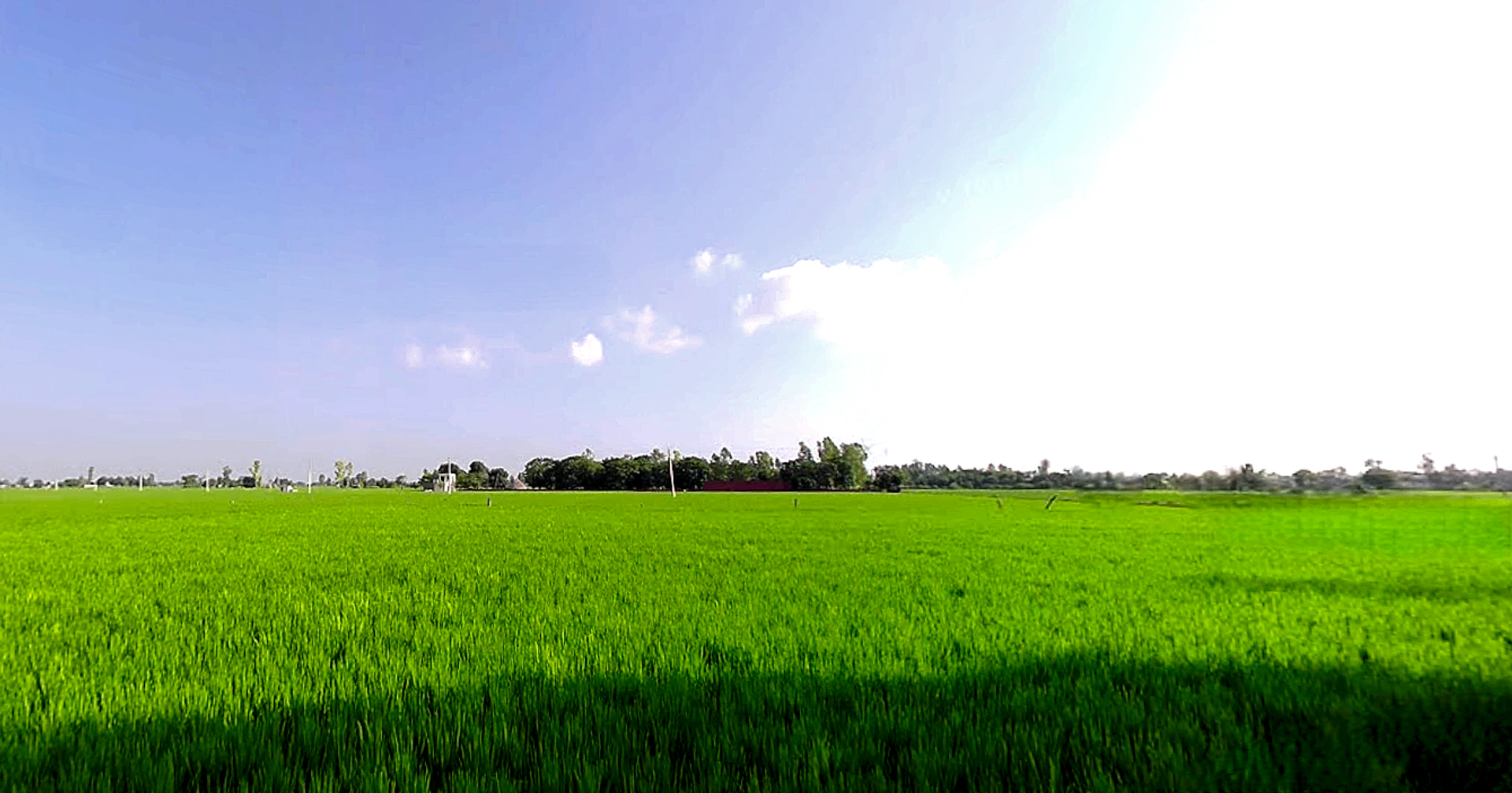 Balbehra, Punjab 147101, India