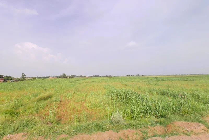 Khori, Haryana 123101, India preview 3