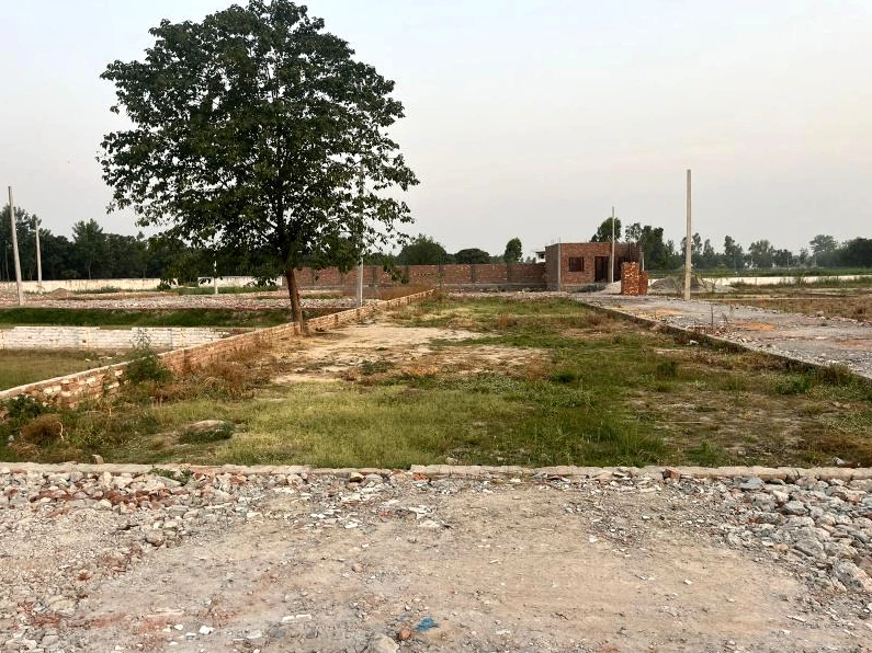 Barnagar, Madhya Pradesh 456771, India