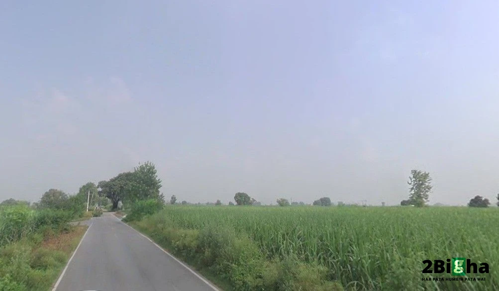 Gotka, Uttar Pradesh 250344, India