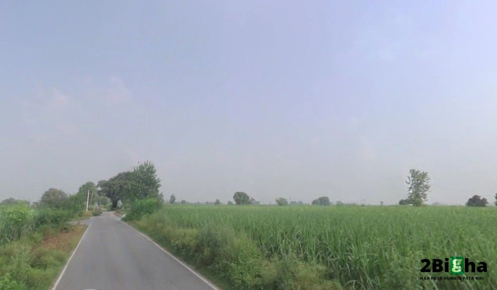 Gotka, Uttar Pradesh 250344, India