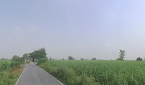 Gotka, Uttar Pradesh 250344, India preview 3