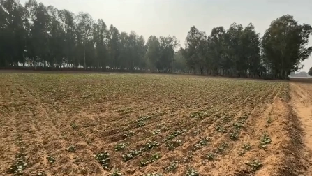 Nurpur Bedi, Rupnagar, Punjab 140117, India preview 2