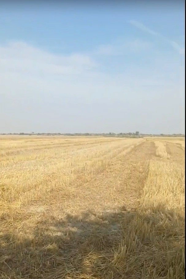 Kaisarganj, Uttar Pradesh 271903, India