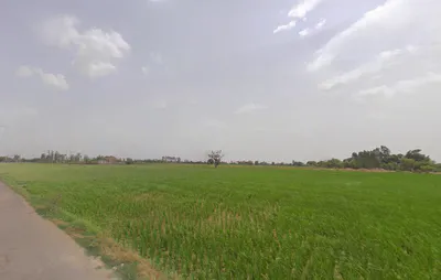 Kokilavana, Uttar Pradesh 281403, India preview 3