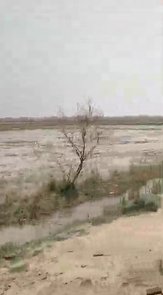9374+Q4 7 Brp, Hanumangarh, Rajasthan, India