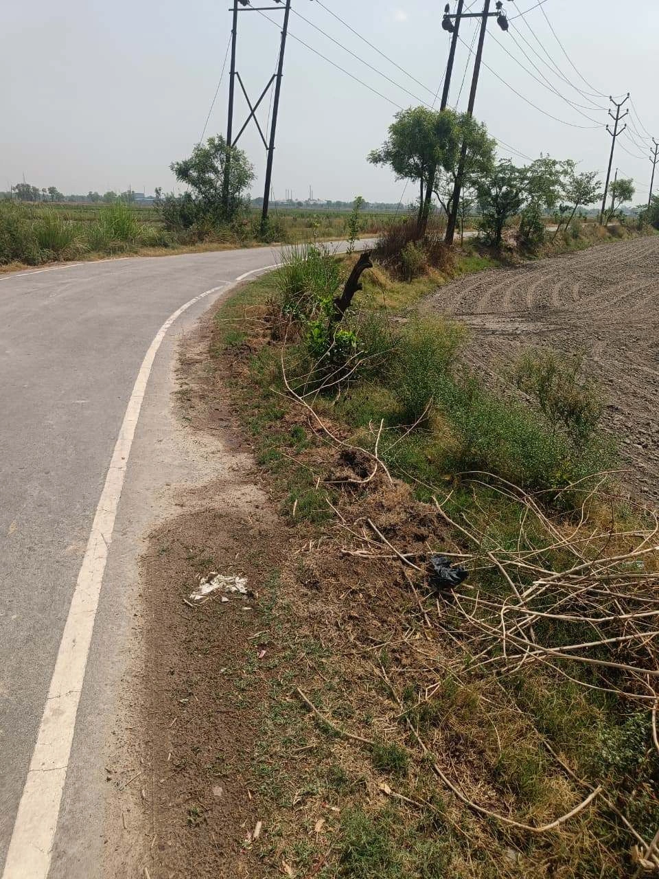 Aou, Rajasthan, India