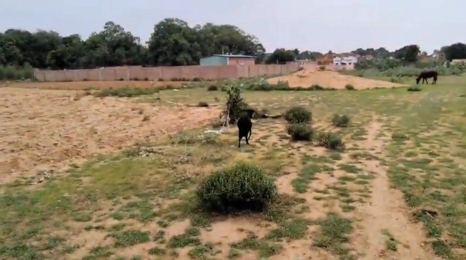 Makhdumpur, Bihar 804422, India preview 5