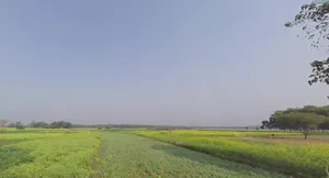 Krishnanagar, West Bengal, India preview 2