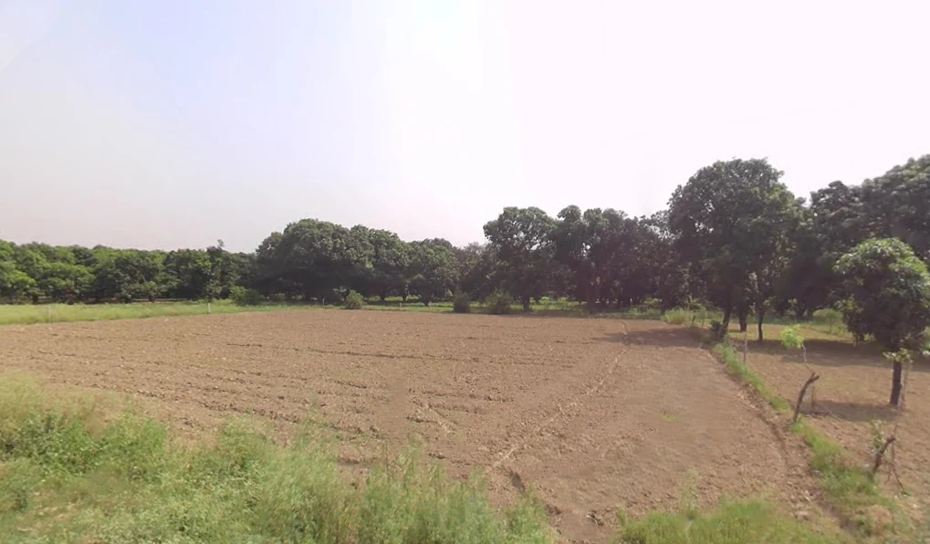 Siyana, Uttar Pradesh 203412, India