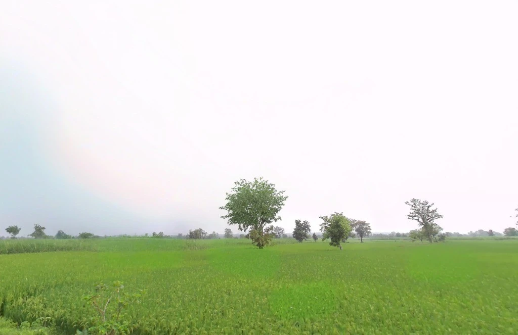 R665+867, Ward Number 1, Chhura, Chhattisgarh 493996, India