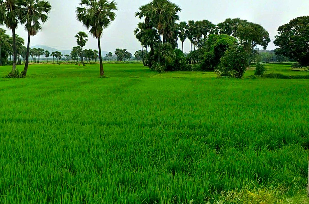 Khamariya, Chhattisgarh 490020, India