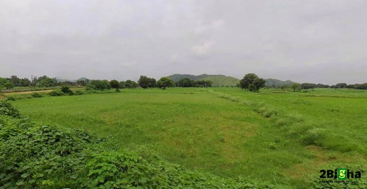 Matehana, Madhya Pradesh 485113, India