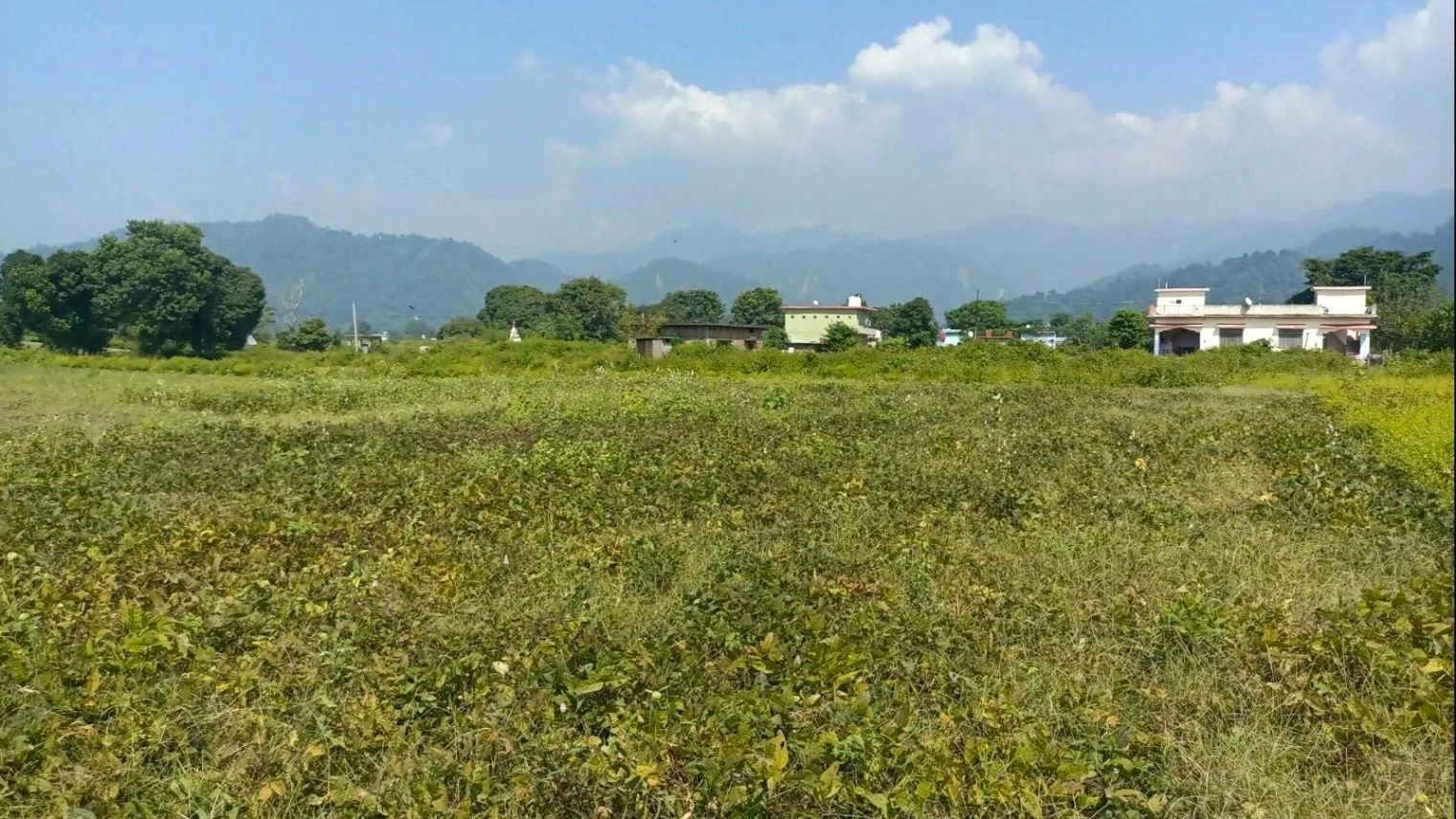 Jamni Pur, Uttarakhand, India