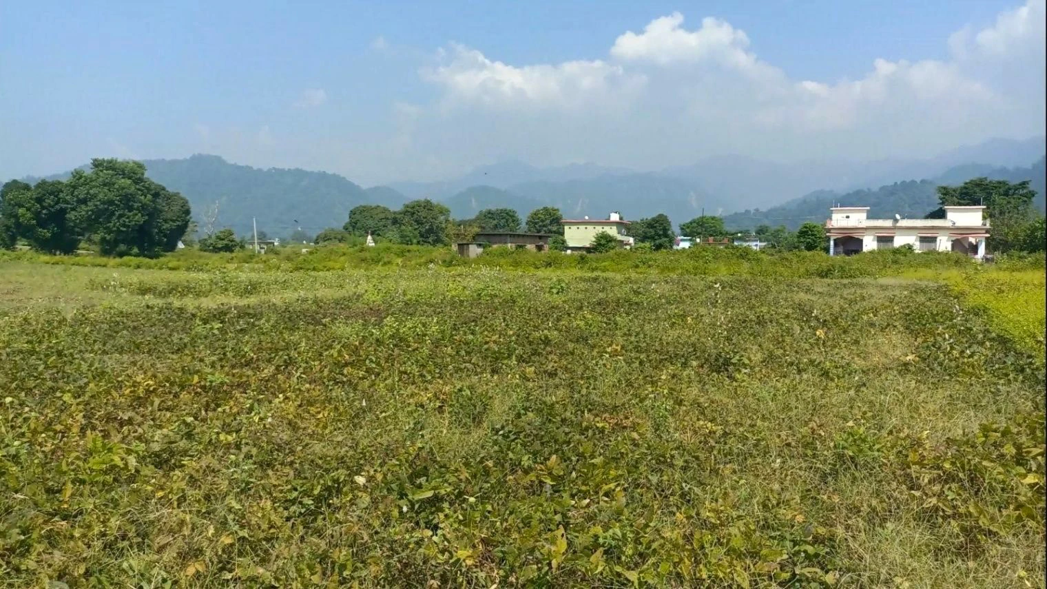 Jamni Pur, Uttarakhand, India