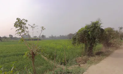 Muragachha, West Bengal, India preview 3