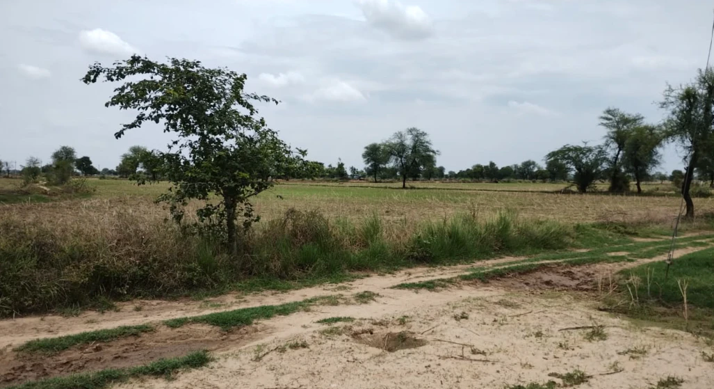 Balachaur, Punjab 144521, India