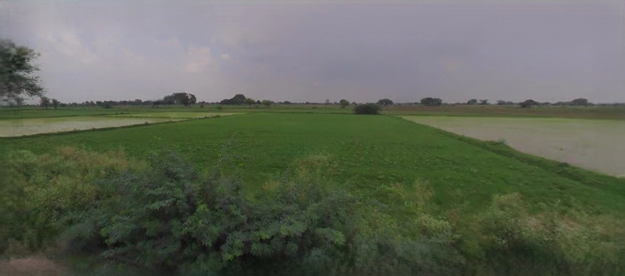 Laksar, Uttarakhand 247663, India