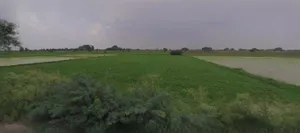 Laksar, Uttarakhand 247663, India preview 3