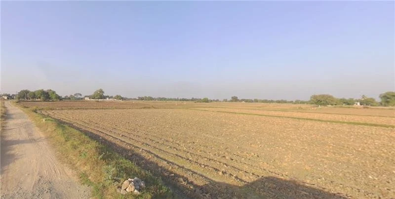 Barnoli, Gujarat, India