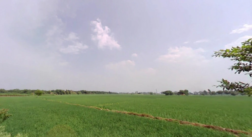 Ridhau, Haryana 131408, India
