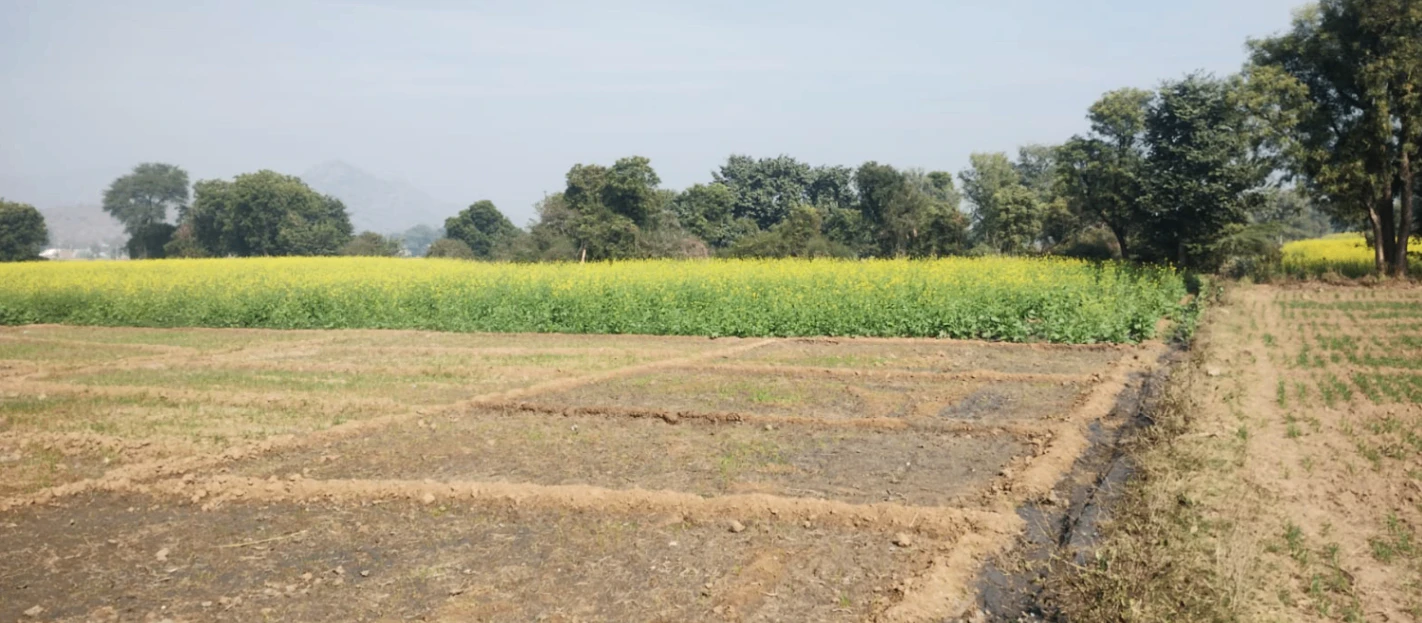 Tarapur, Punjab, India