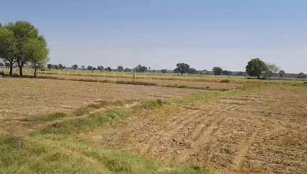 GVMQ+MQ9, Ladiyaka, Rajasthan, India