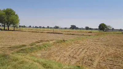 GVMQ+MQ9, Ladiyaka, Rajasthan, India preview 3