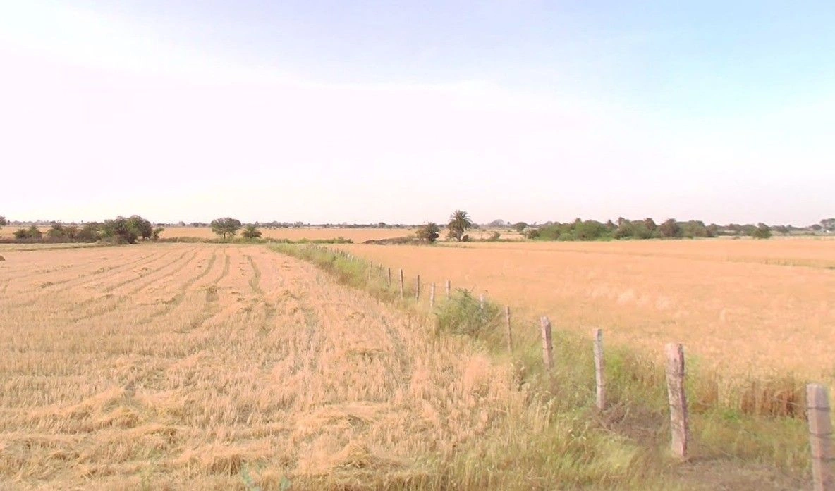 Jhagariya, Madhya Pradesh, India