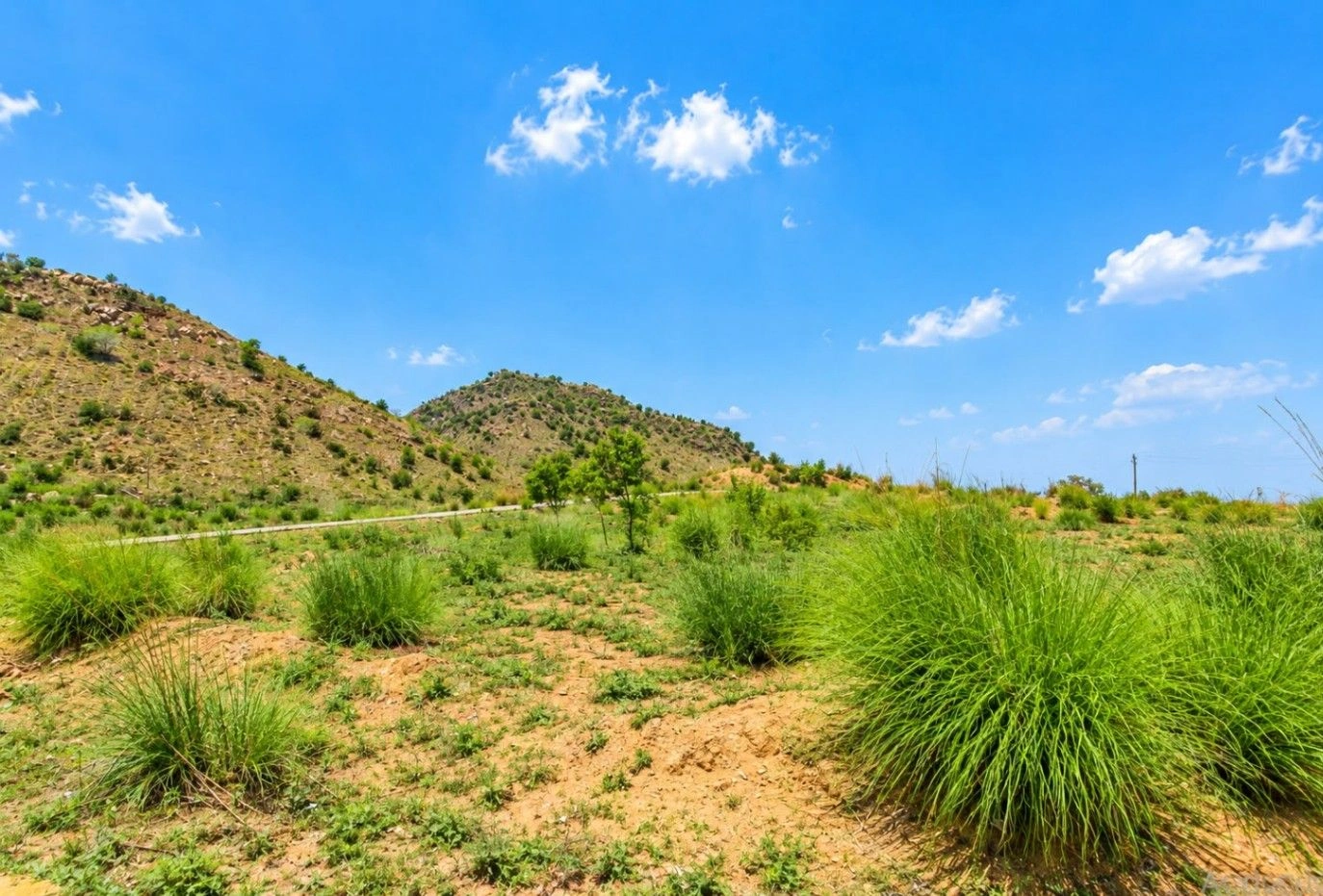 739G+6XF, Jaipur, Bobari - Gol Rd, Gol, Rajasthan 303120, India - Photo 4