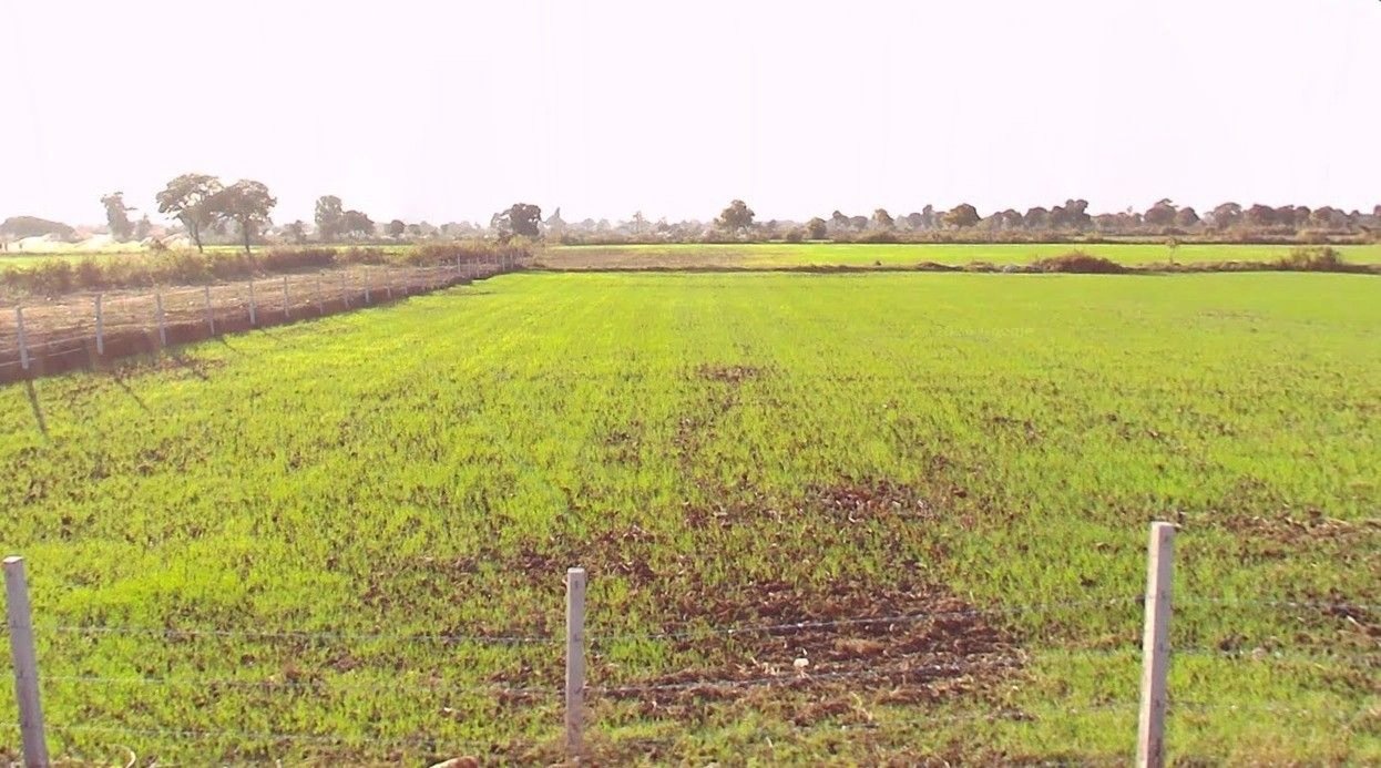 Jhurjhuru, Madhya Pradesh, India