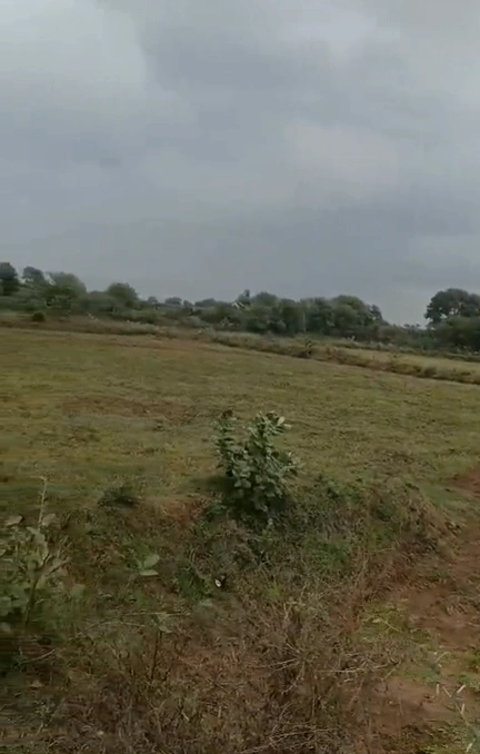 Biser, Raisen, Madhya Pradesh 464668, India