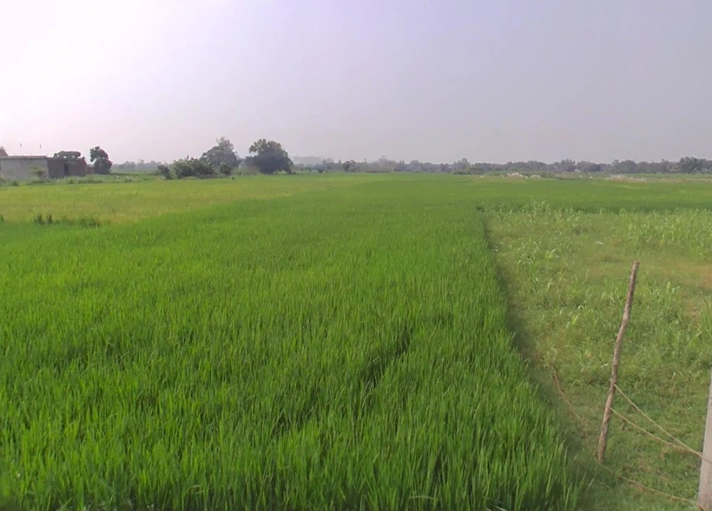 Tuiyapani, Madhya Pradesh, India
