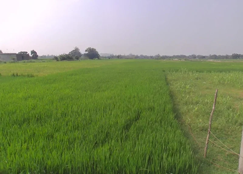 Tuiyapani, Madhya Pradesh, India preview 2