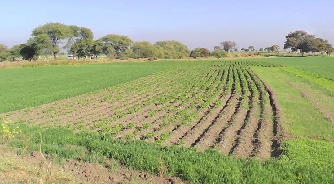 Ant, Madhya Pradesh 455001, India