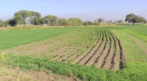 Ant, Madhya Pradesh 455001, India preview 3